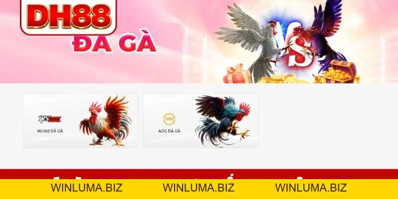 DH88 agen – Trang Chủ Chính Thức Nhà Cái DH88.COM T10/2026 | Link Tải App 888K - WINLUMA.BIZ