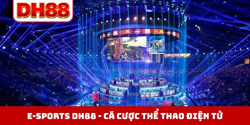 Đá Gà DH88 - Xem Trực Tiếp Chọi Kê Thomo Hôm Nay Full HD - WINLUMA.BIZ