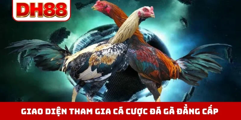 Đá Gà DH88 - Xem Trực Tiếp Chọi Kê Thomo Hôm Nay Full HD - WINLUMA.BIZ