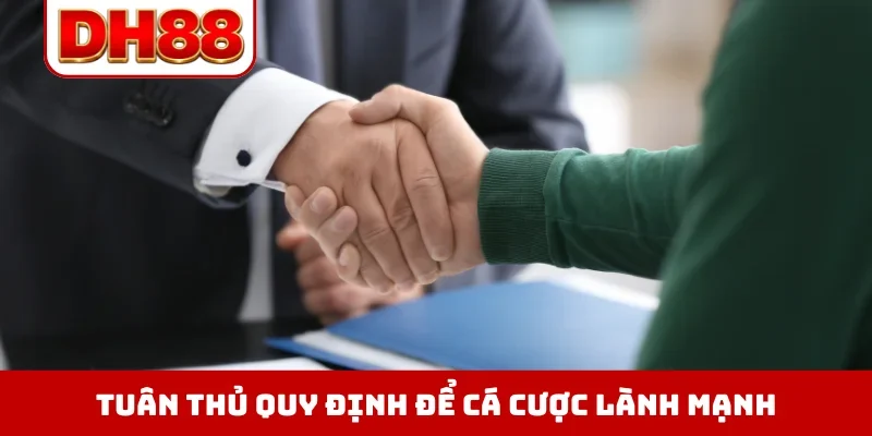 Điều Khoản Điều Kiện DH88 - Định Hình Quyền Lợi Hội Viên - WINLUMA.BIZ
